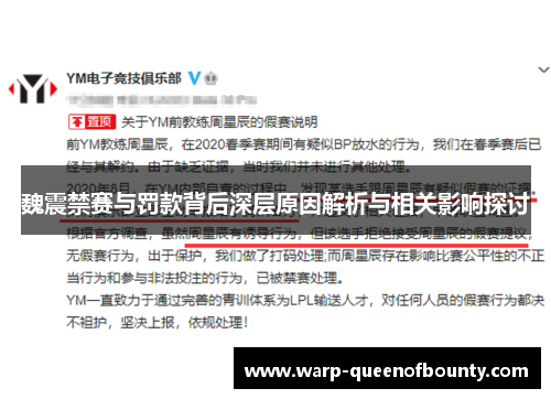 魏震禁赛与罚款背后深层原因解析与相关影响探讨